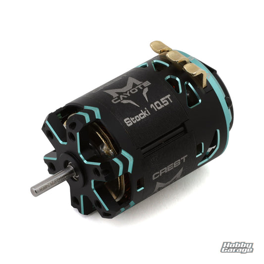 Cayote Crest Stocki 1/10 Brushless Competition Sensored Motor (10.5T) CYEB11010